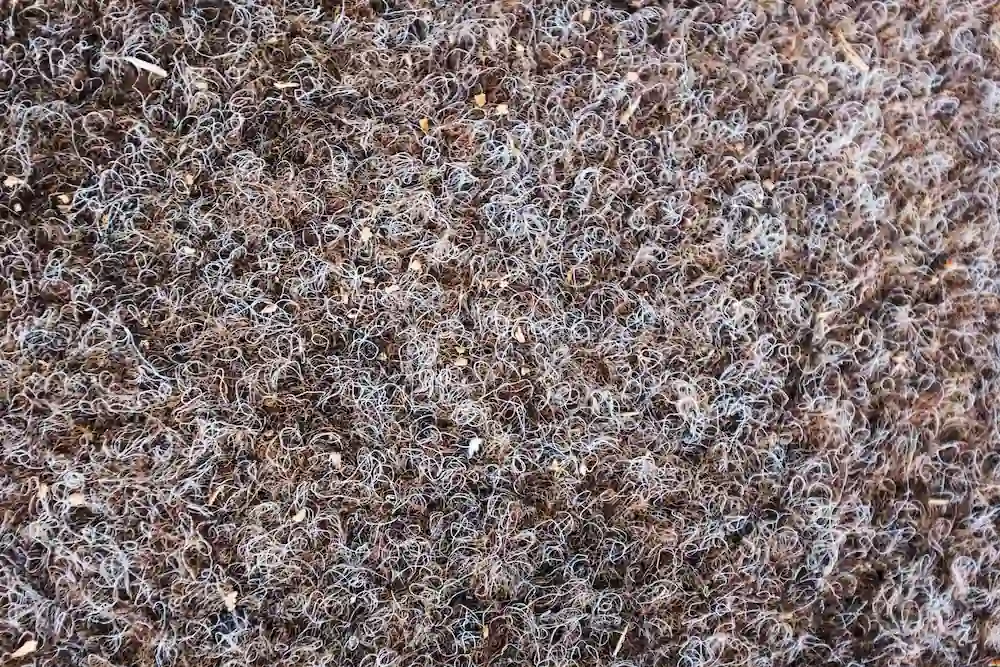 Texture of a brown synthetic carpet, closeup detail, dirty full of crumbles